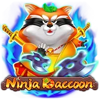 NInja Raccoon